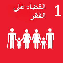 القضاء على الفقر