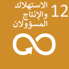 الاستهلاك والإنتاج المسؤولان