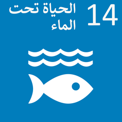 الحياة تحت الماء