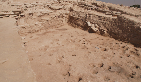 UAE Cultural Heritage