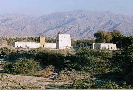 حصن الفلية
