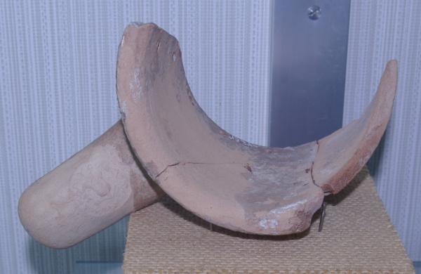 TDRA empowers youth for a sustainable future