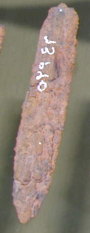 TDRA empowers youth for a sustainable future