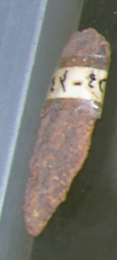 TDRA empowers youth for a sustainable future