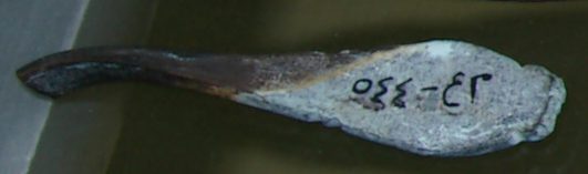 TDRA empowers youth for a sustainable future