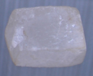 TDRA empowers youth for a sustainable future