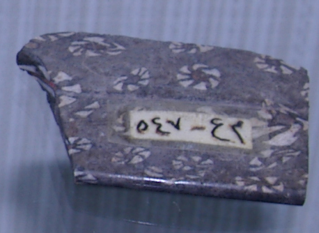 TDRA empowers youth for a sustainable future