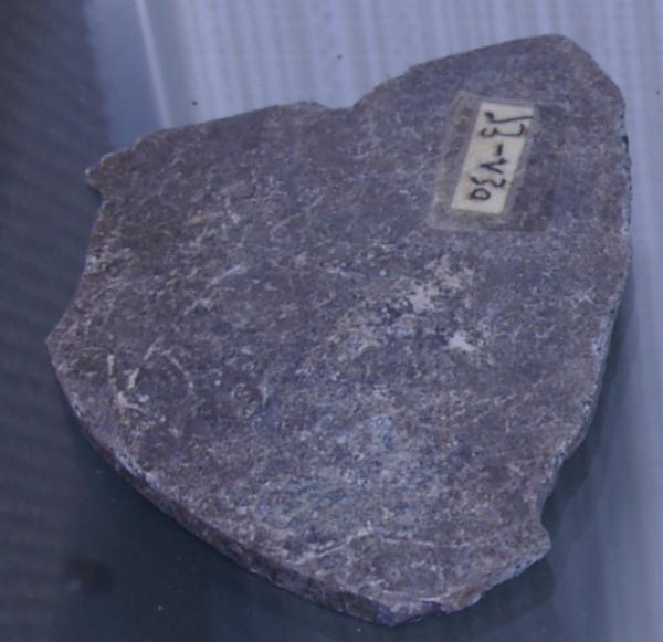 TDRA empowers youth for a sustainable future