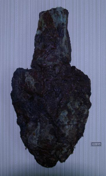 TDRA empowers youth for a sustainable future