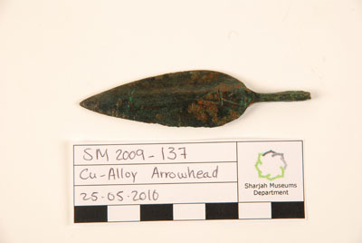 TDRA empowers youth for a sustainable future