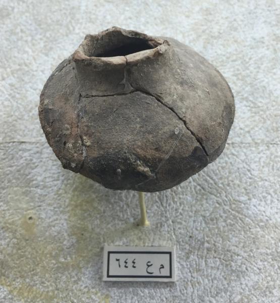 TDRA empowers youth for a sustainable future