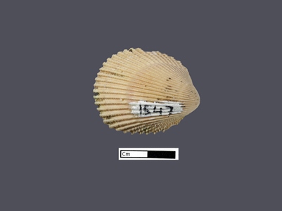 4183