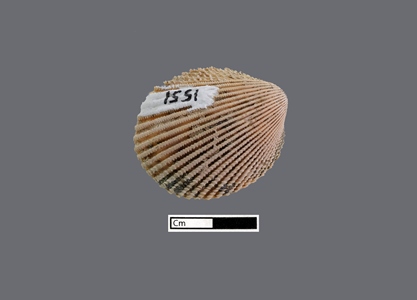 4187