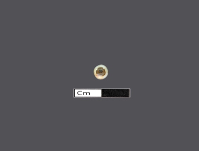 4243