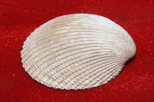 560