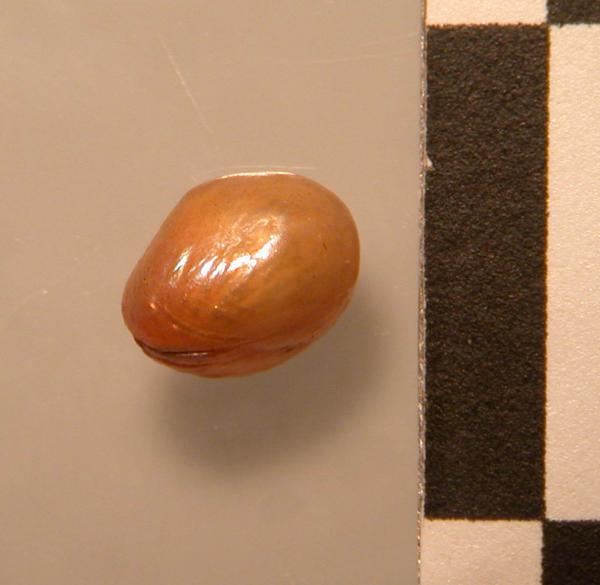 572
