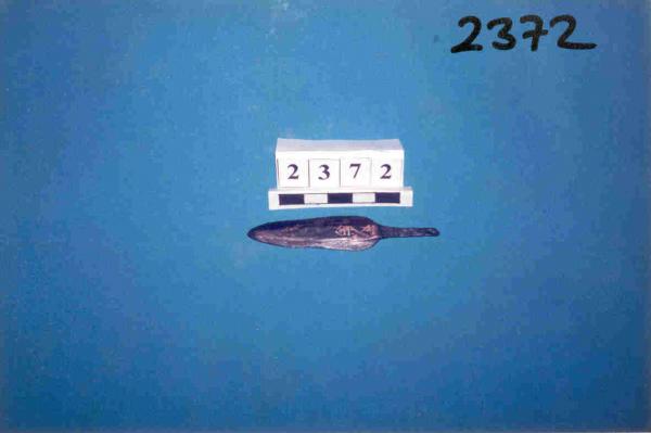 723