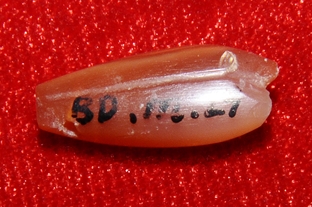 756