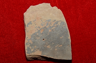 81